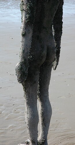 Life-size_cast-iron_statue_at_Crosby_Beach_-_journal.pone.0048863.g001-right