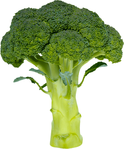 p-main-broccoli