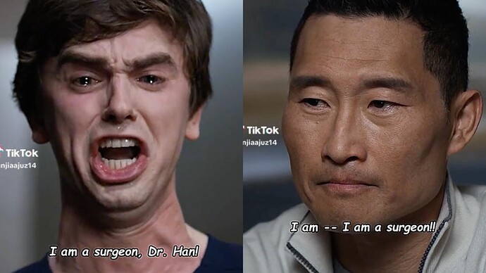 TikTok-What-is-The-Good-Doctor-I-am-a-Surgeon-meme-about-Fans-react-4068284831