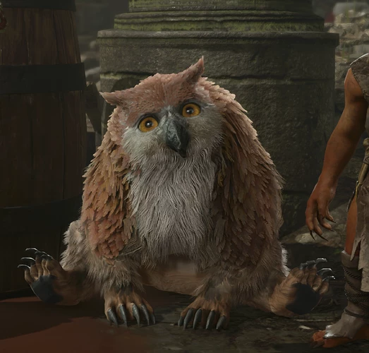 Owlbear_Cub