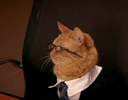 Cat_lawyer