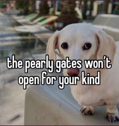 the pearly gates won't open for your kind